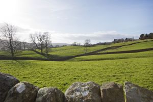 _gorgeous nidderdale local 3.jpg